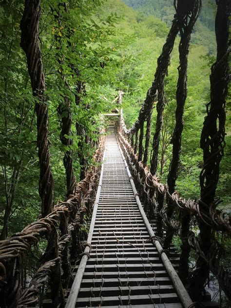 祖屋|奥祖谷二重かずら橋 